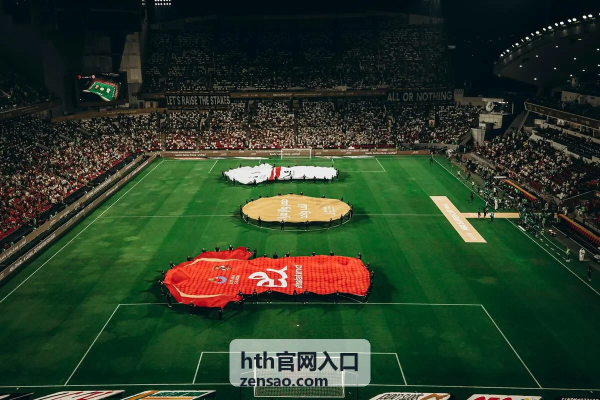 hth官网入口身份校验与稳定登录示意