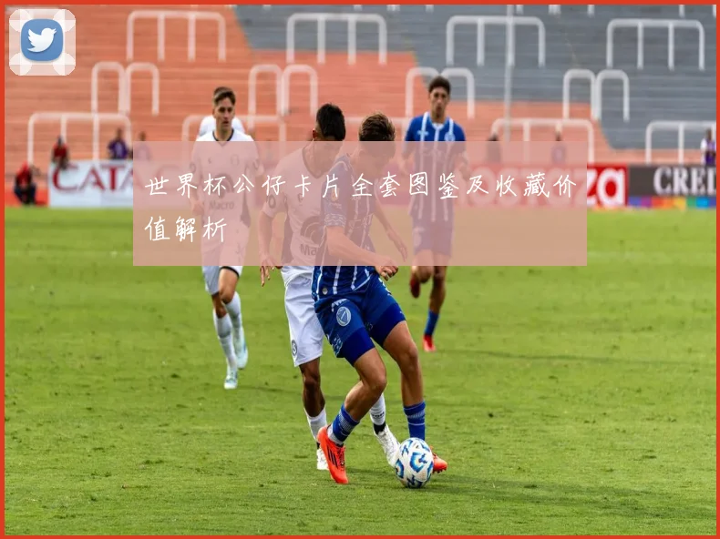 世界杯公仔卡片全套图鉴及收藏价值解析